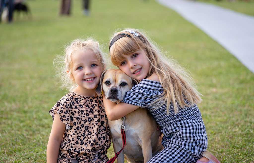 Mowgli Dog Show photo