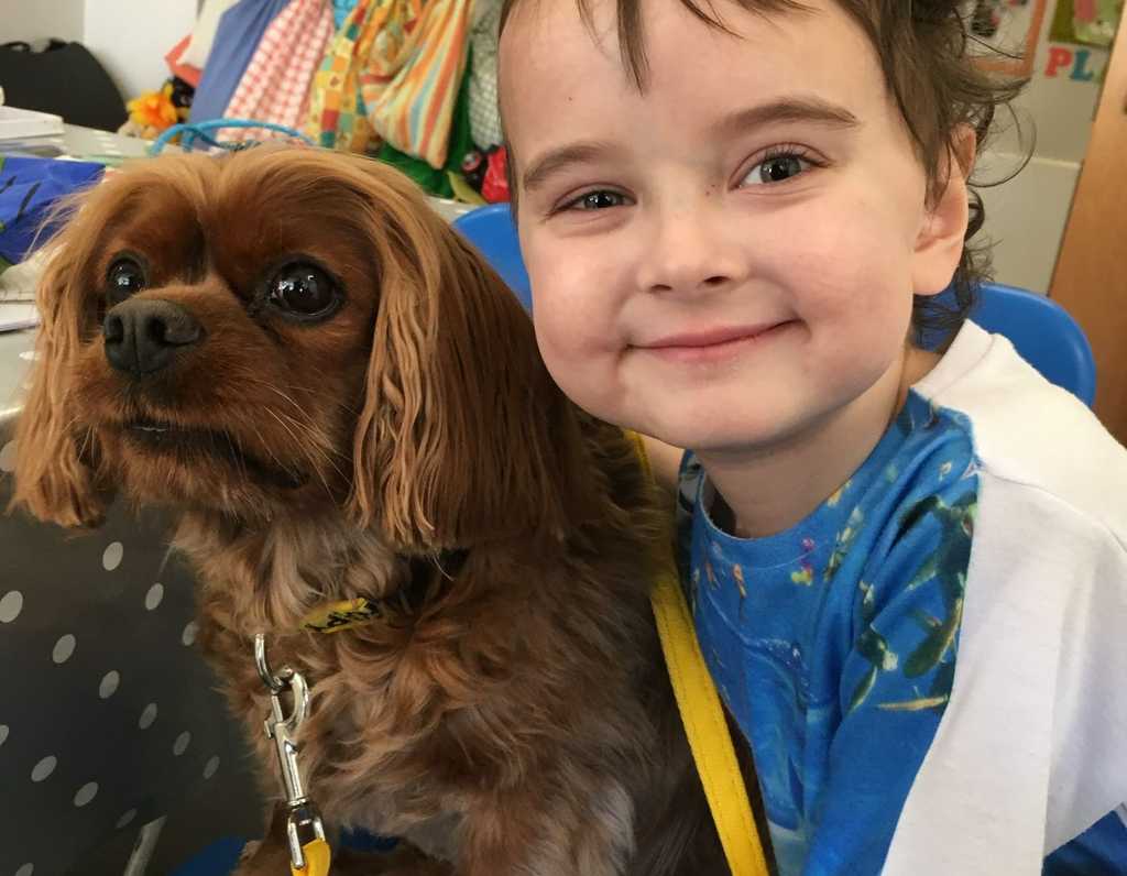 Noah's Story - Family Story Claire House