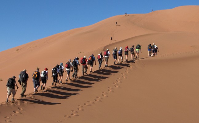 Sahara Desert Trek 2024